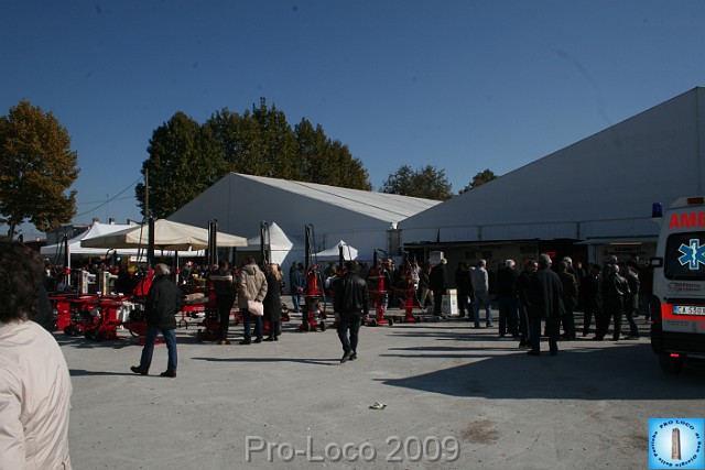 In prà della Antica Fiera di Arsego (74).JPG